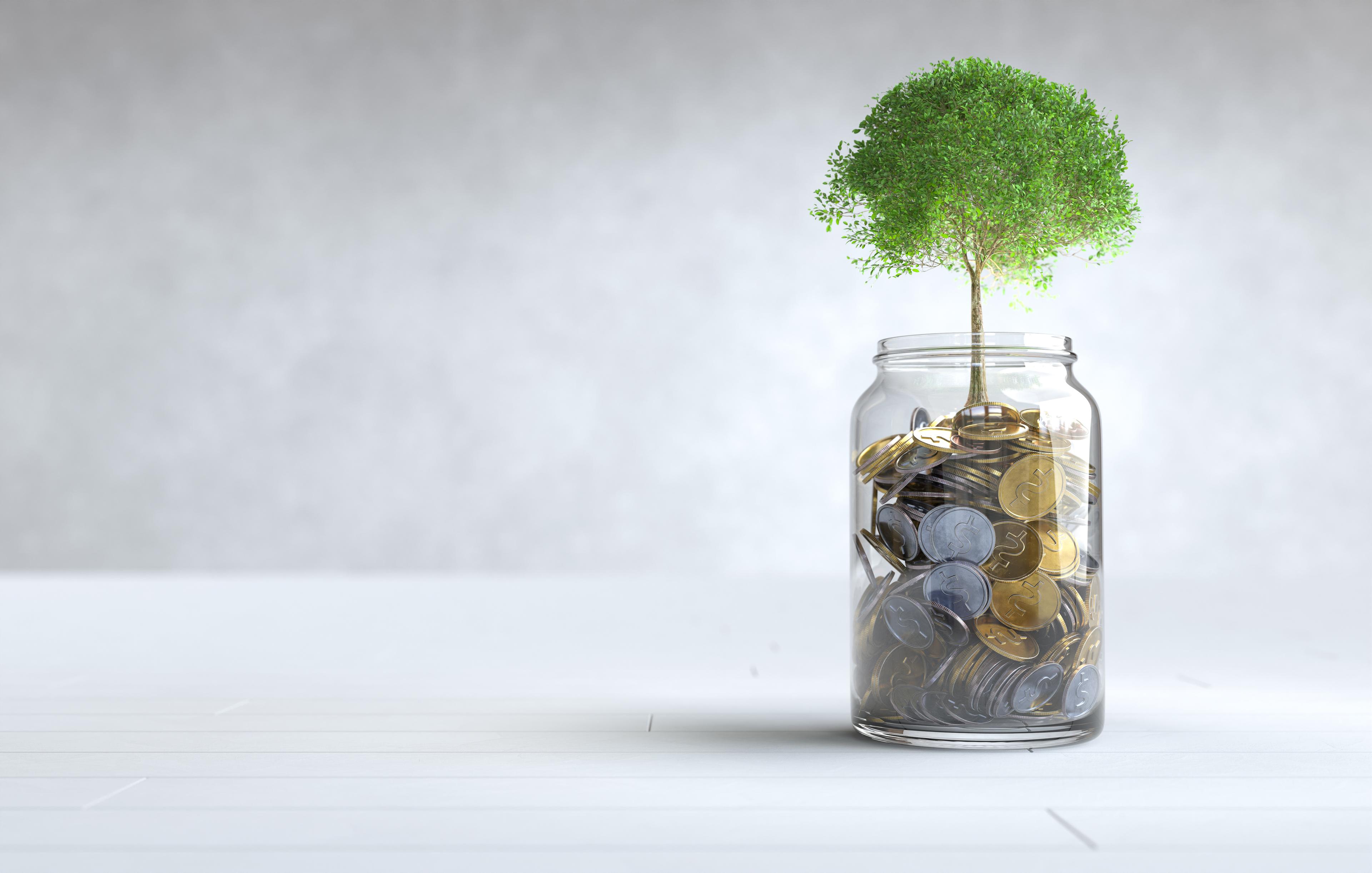 Savings Account