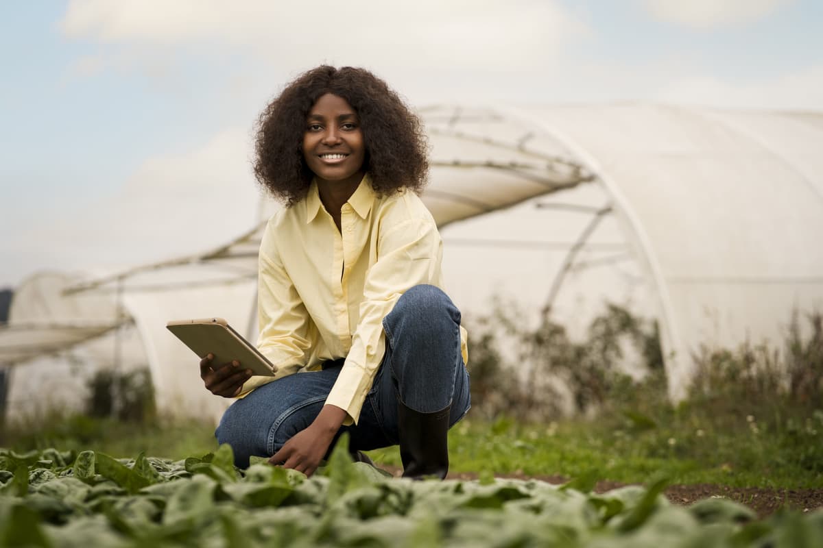 Sustainable banking solutions in Nigeria, showing green initiatives and environmental responsibility
