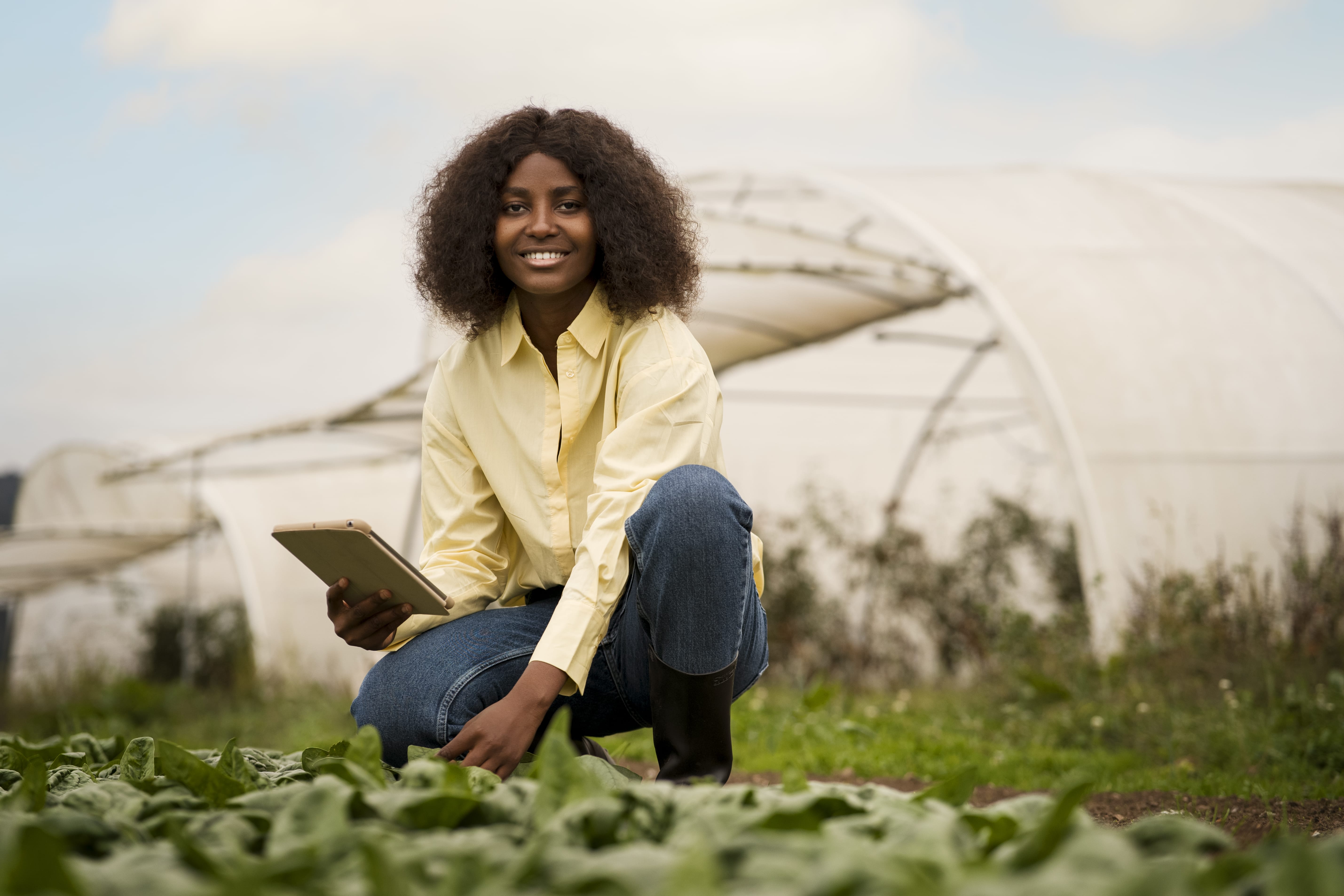 Sustainable banking solutions in Nigeria, showing green initiatives and environmental responsibility